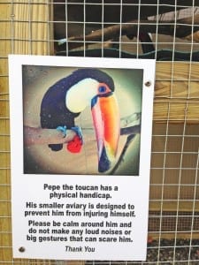 Pepe's aviary sign