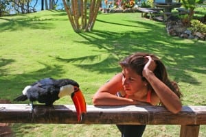 In love with a Toucan