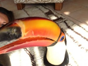 Toucan on the floor playtime