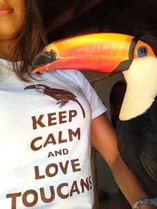 Keep Calm & Love Toucans