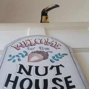 aracari nut house